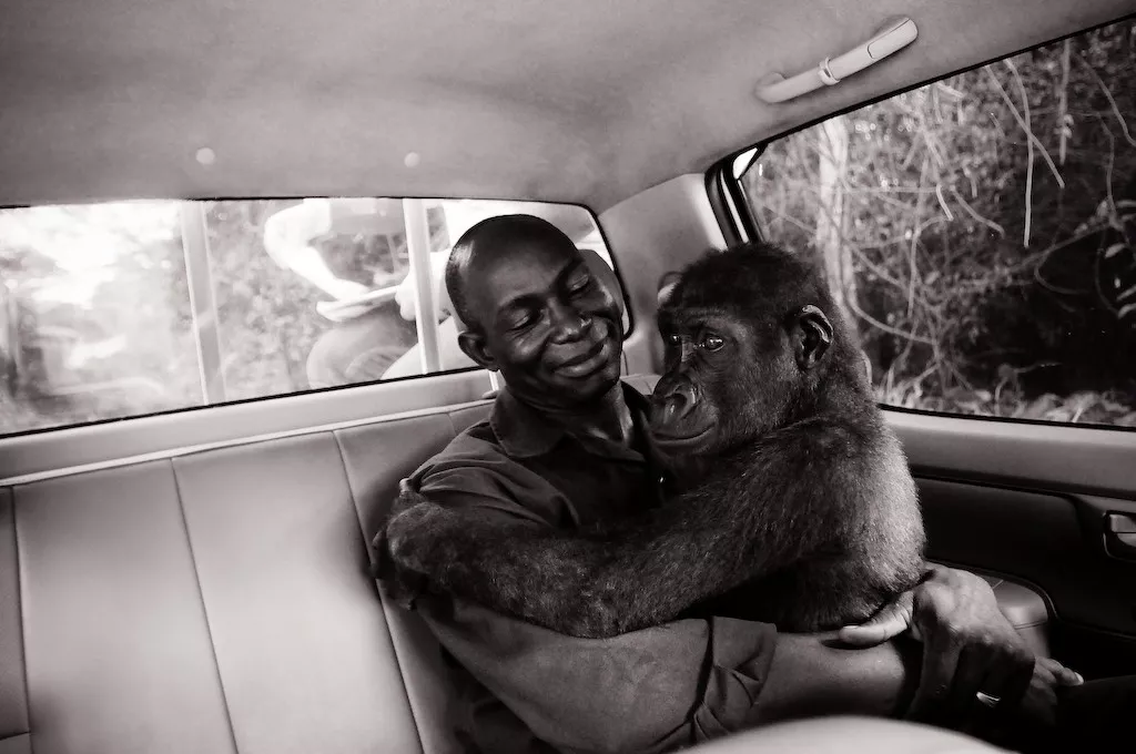 homem segurando macaco