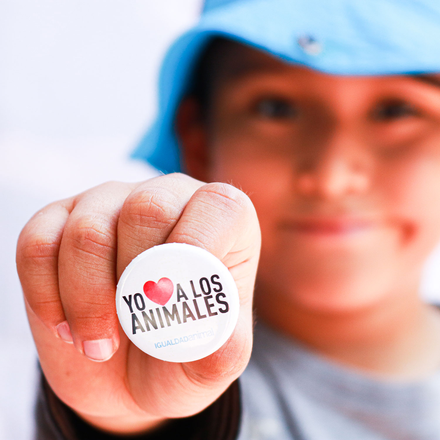 Boy holding a pin that says "I love all animals" in Spanish