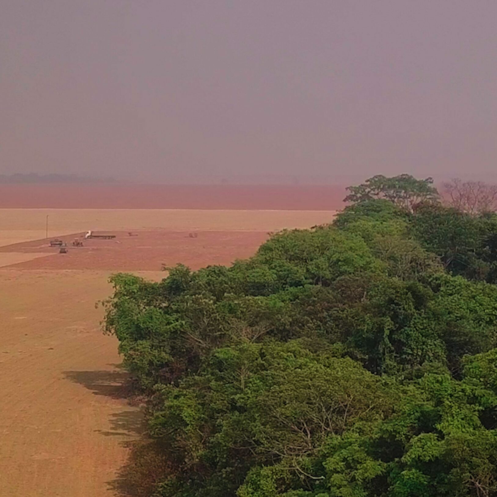 Pantanal desmatado, 2020