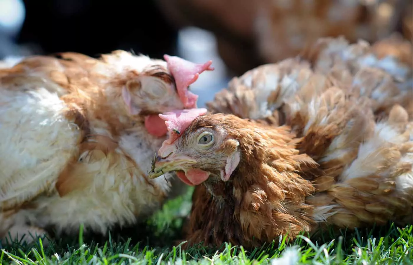 Relatório de Progresso Outubro 2025 4