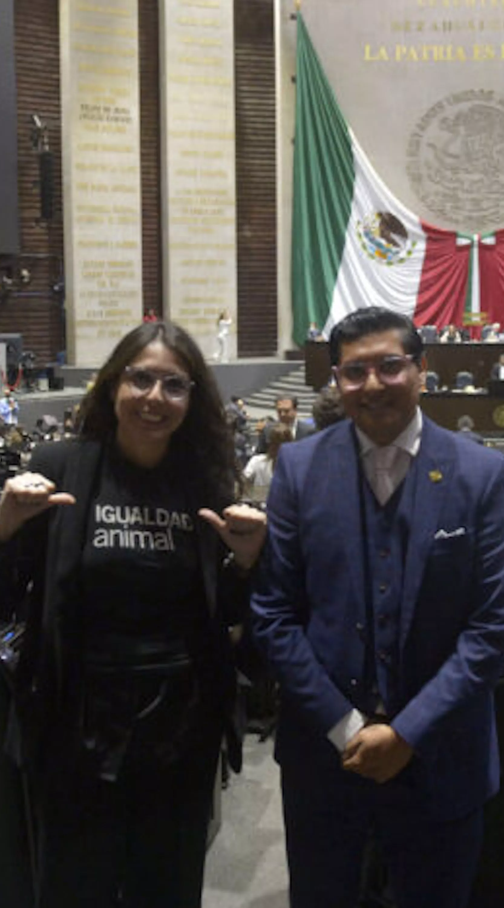 6 sinais de esperança: como o trabalho global pela proteção animal está construindo um futuro melhor 7 Dulce no parlamento mexicano pela proteção animal