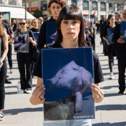 Ativistas da Animal Equality protestam contra fazendas de porcos na Espanha