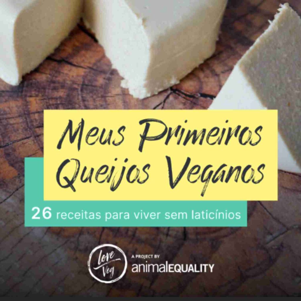 Meus Primeiros Queijos Veganos