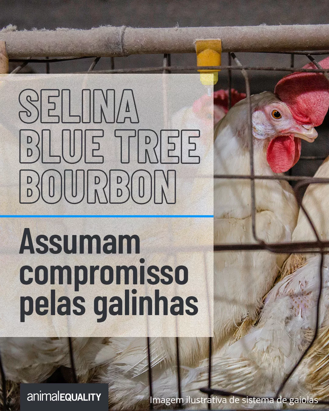 Selina, Bourbon e Blue Tree assumam compromisso