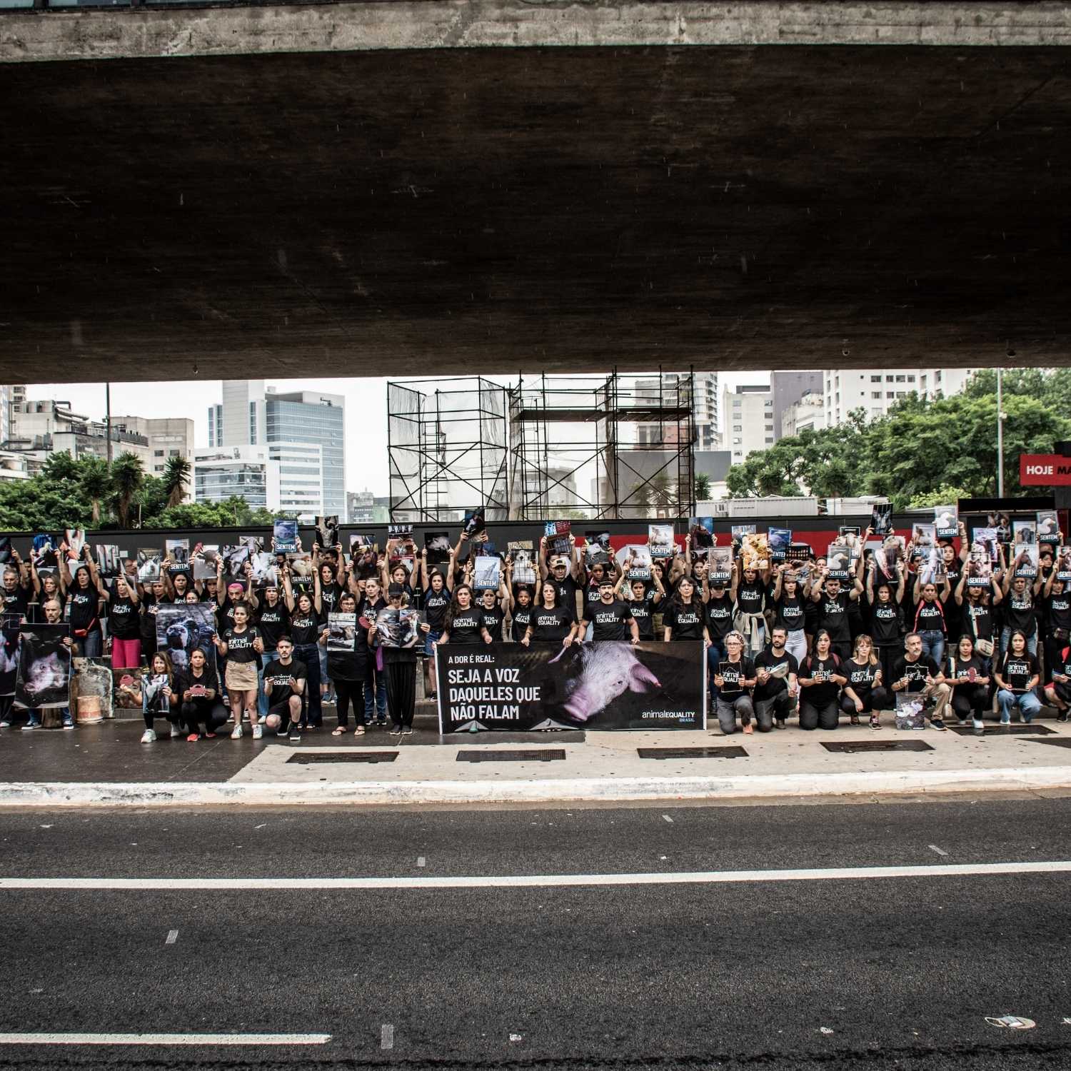 DIDA 2024 na Av. Paulista