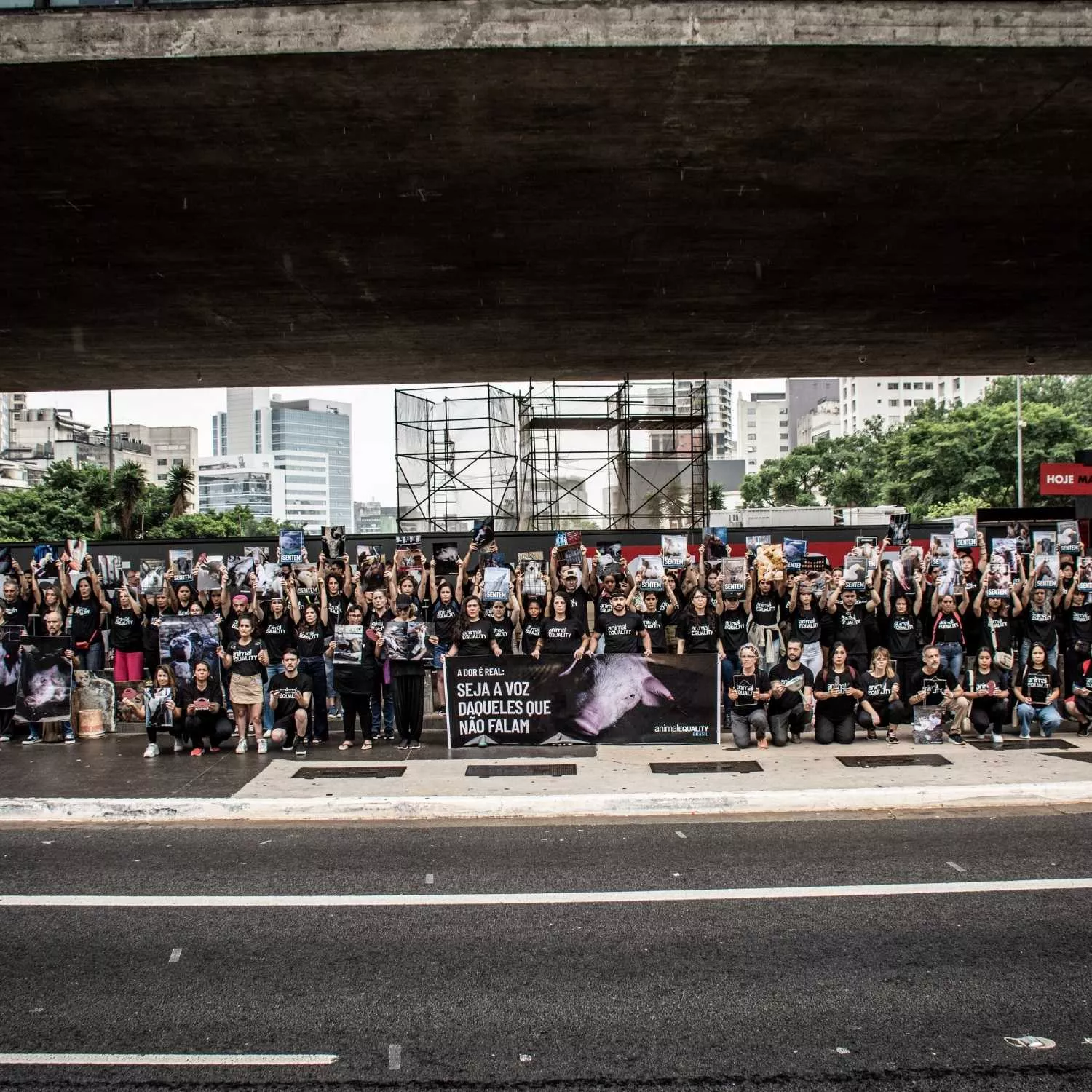 Protesto do Dia Internacional dos Direitos Animais Impacta a Avenida Paulista