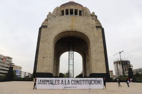 Animais na Constituição