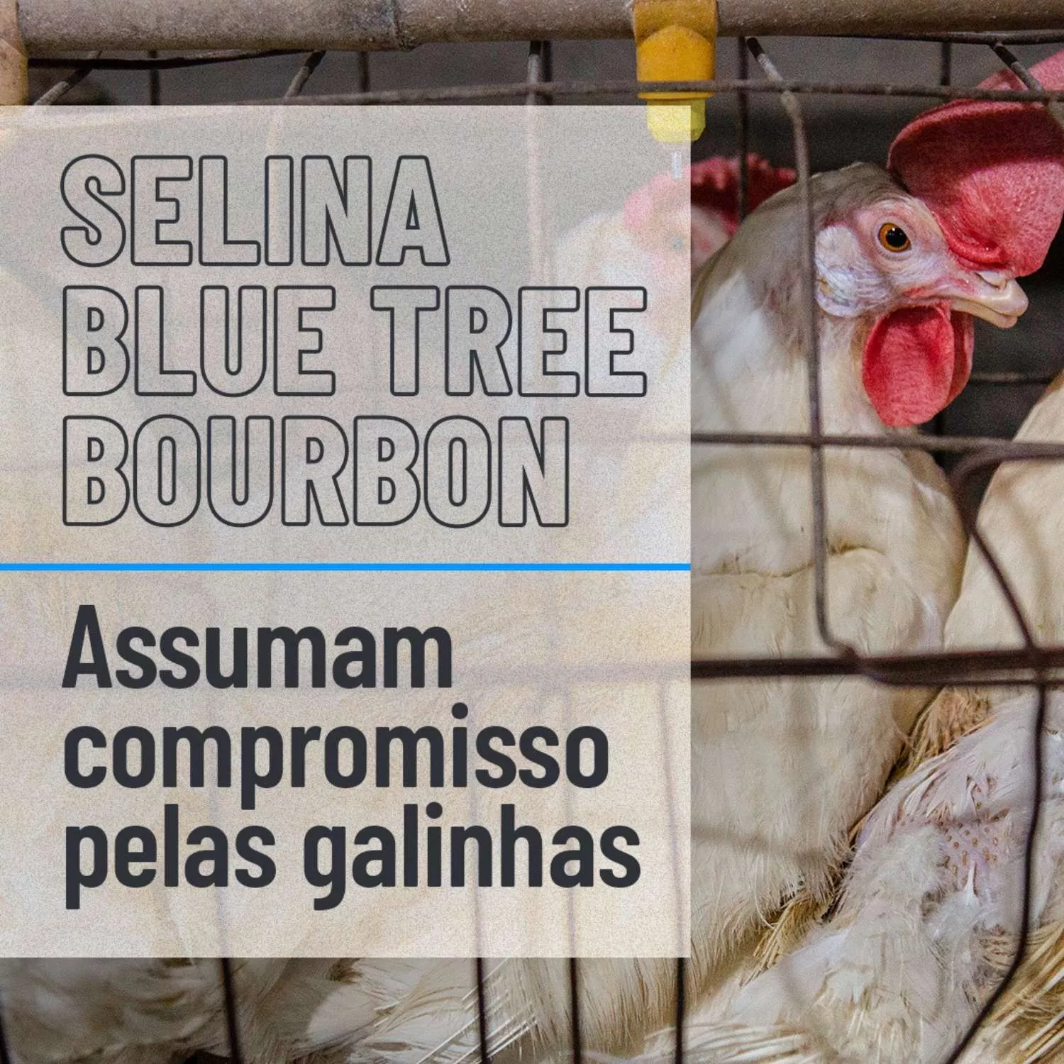 Arte da campanha para Blue Tree, Bourbon e Selina