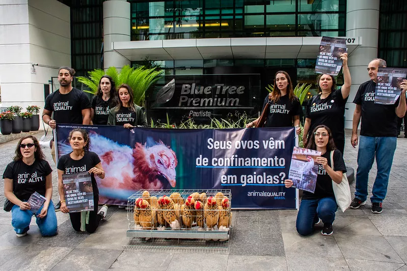 Protetores de Animais participam de protesto em frente ao Blue Tree