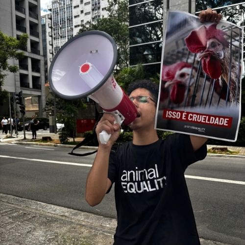 Ativista em protesto contra a rede Marriott