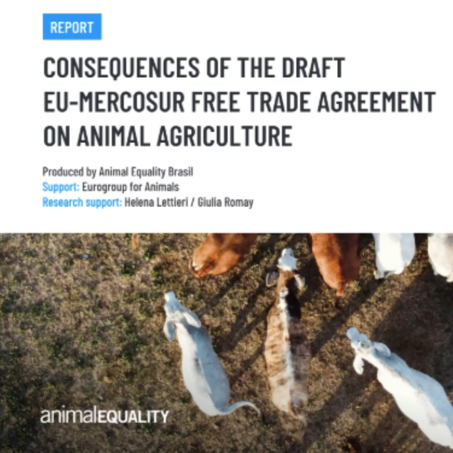 Capa da versão em inglês do relatório sobre o acordo entre Mercosul e UE