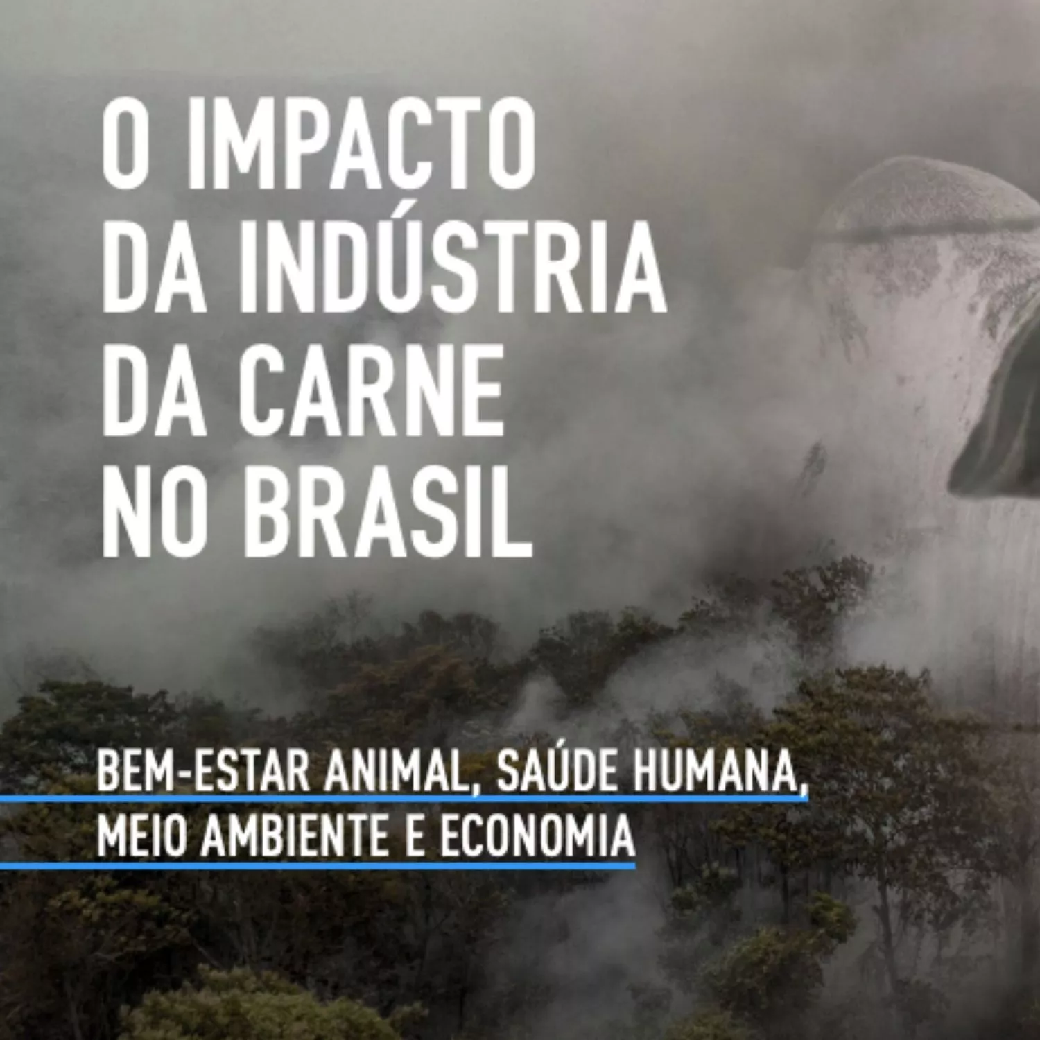 Capa do relatório sobre o impacto da indústria da carne