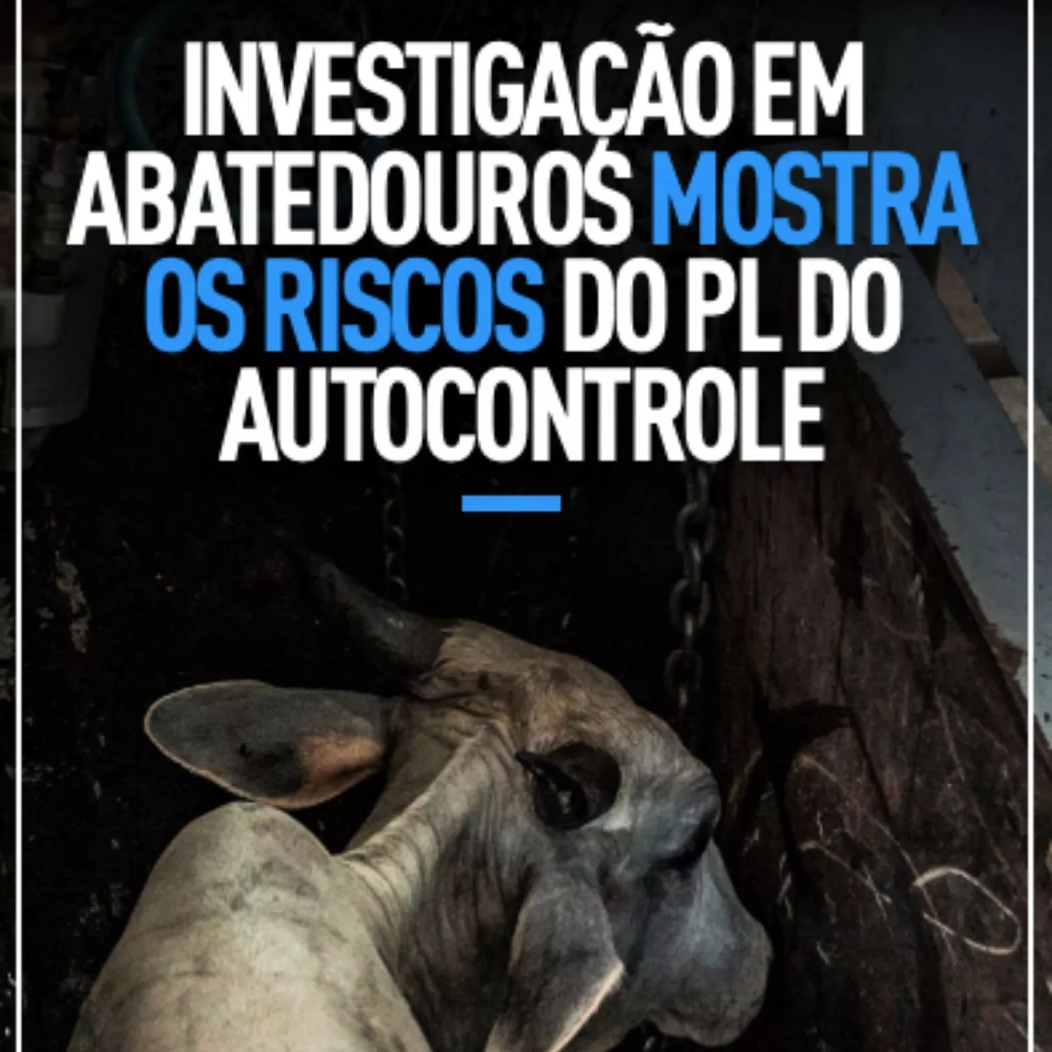 Capa do relatório da investigação sobre o PL do Autocontrole