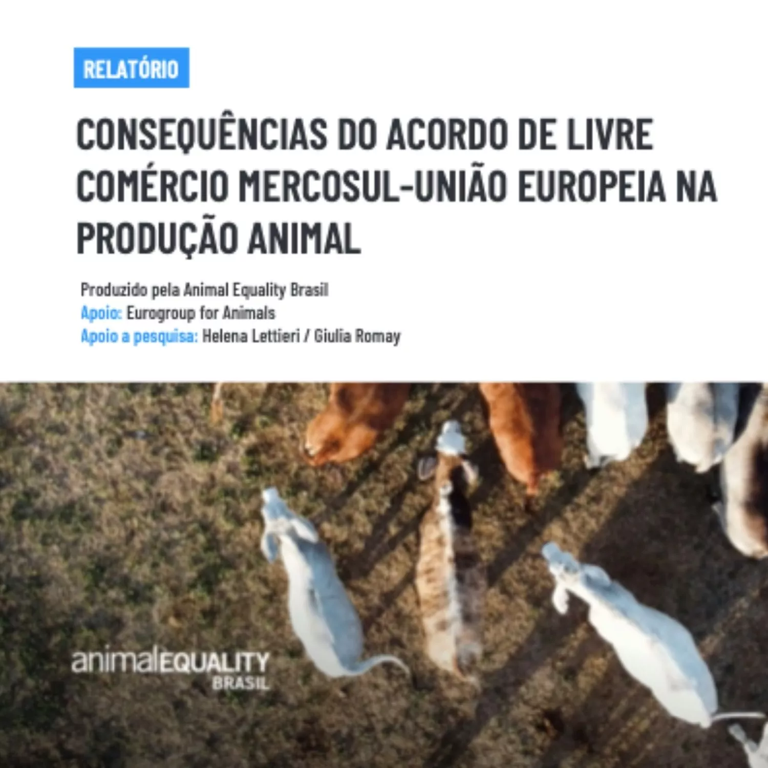 Capa do relatório de consequências do Acordo de Livre Comércio Mercosul-UE para os animais
