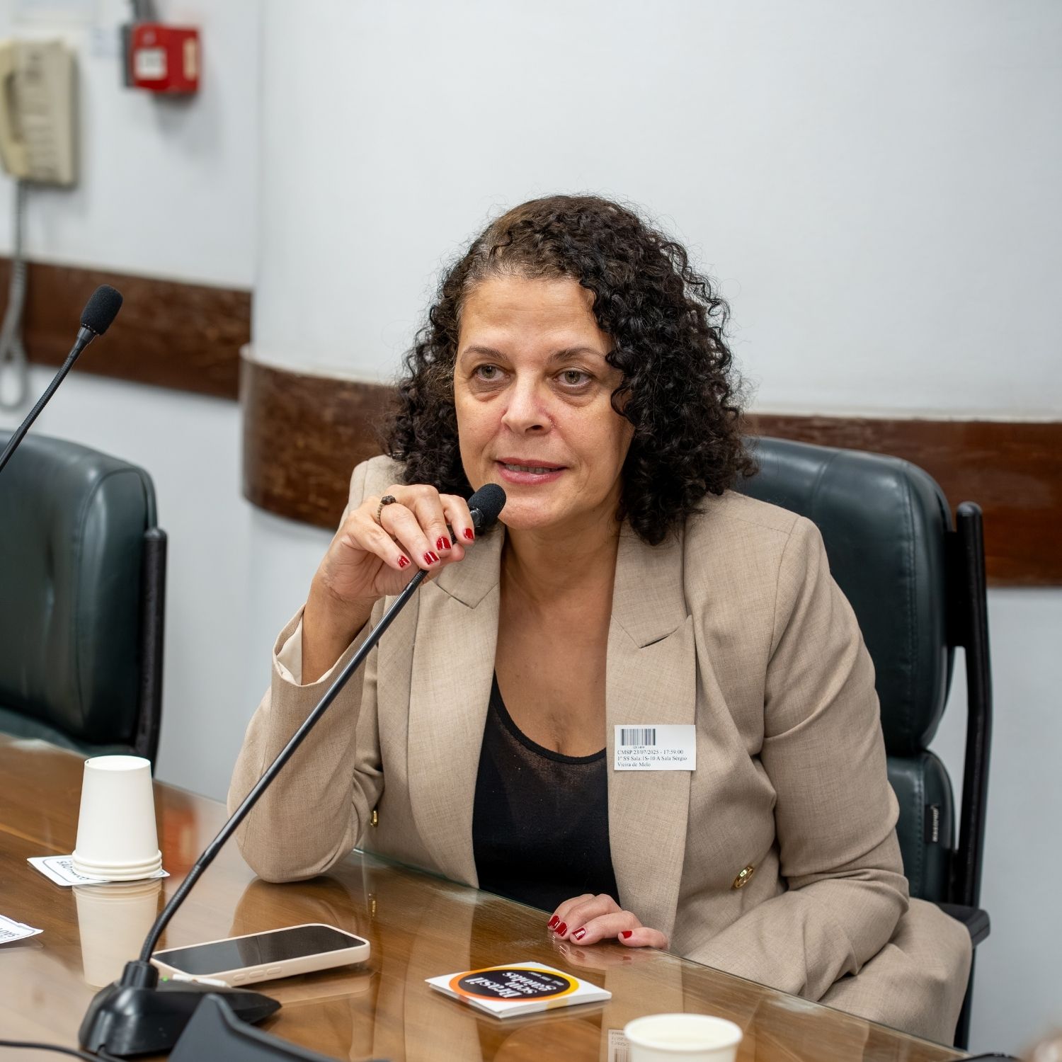 Carla Lettieri em apresentação sobre o Tratado de Livre Comércio