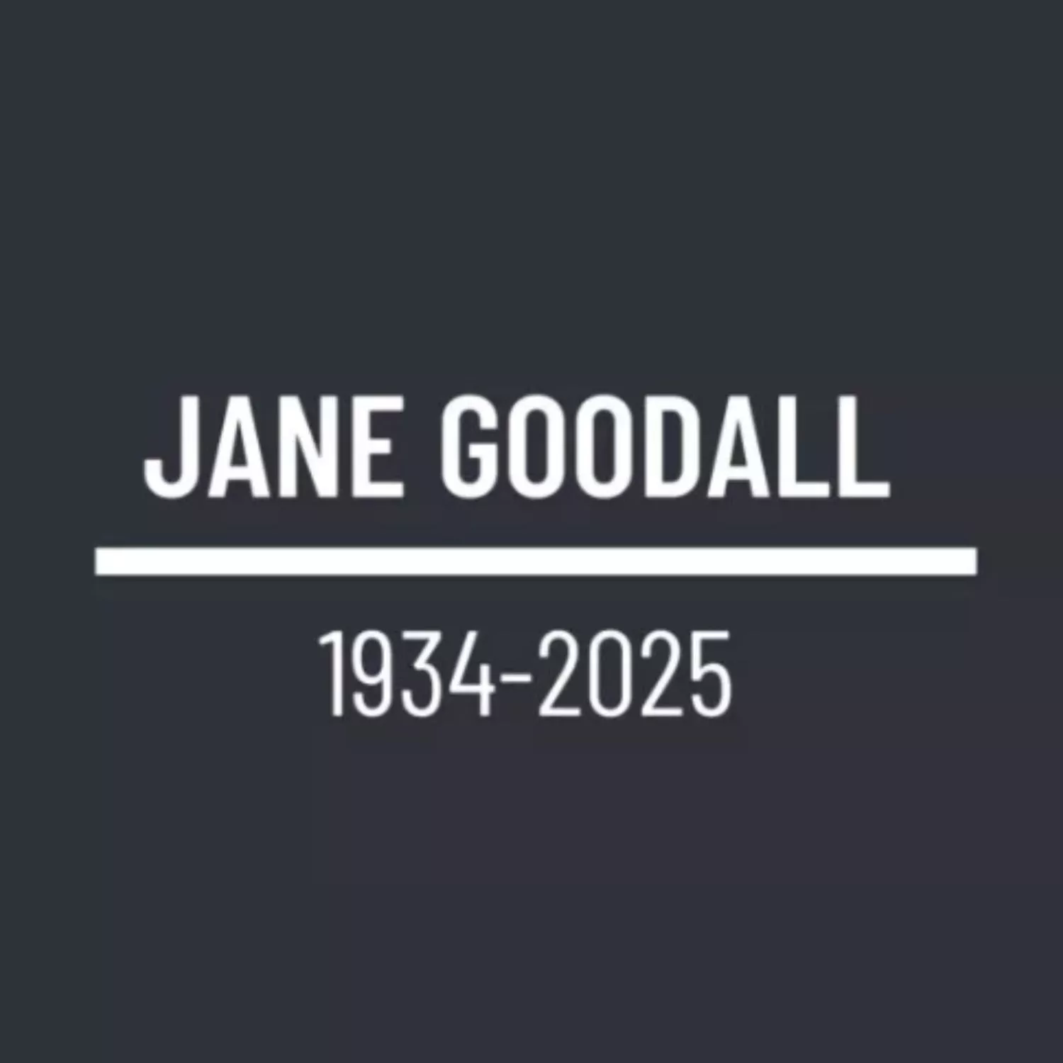 Jane Goodall, etóloga e ativista pelos direitos animais, falece aos 91 anos