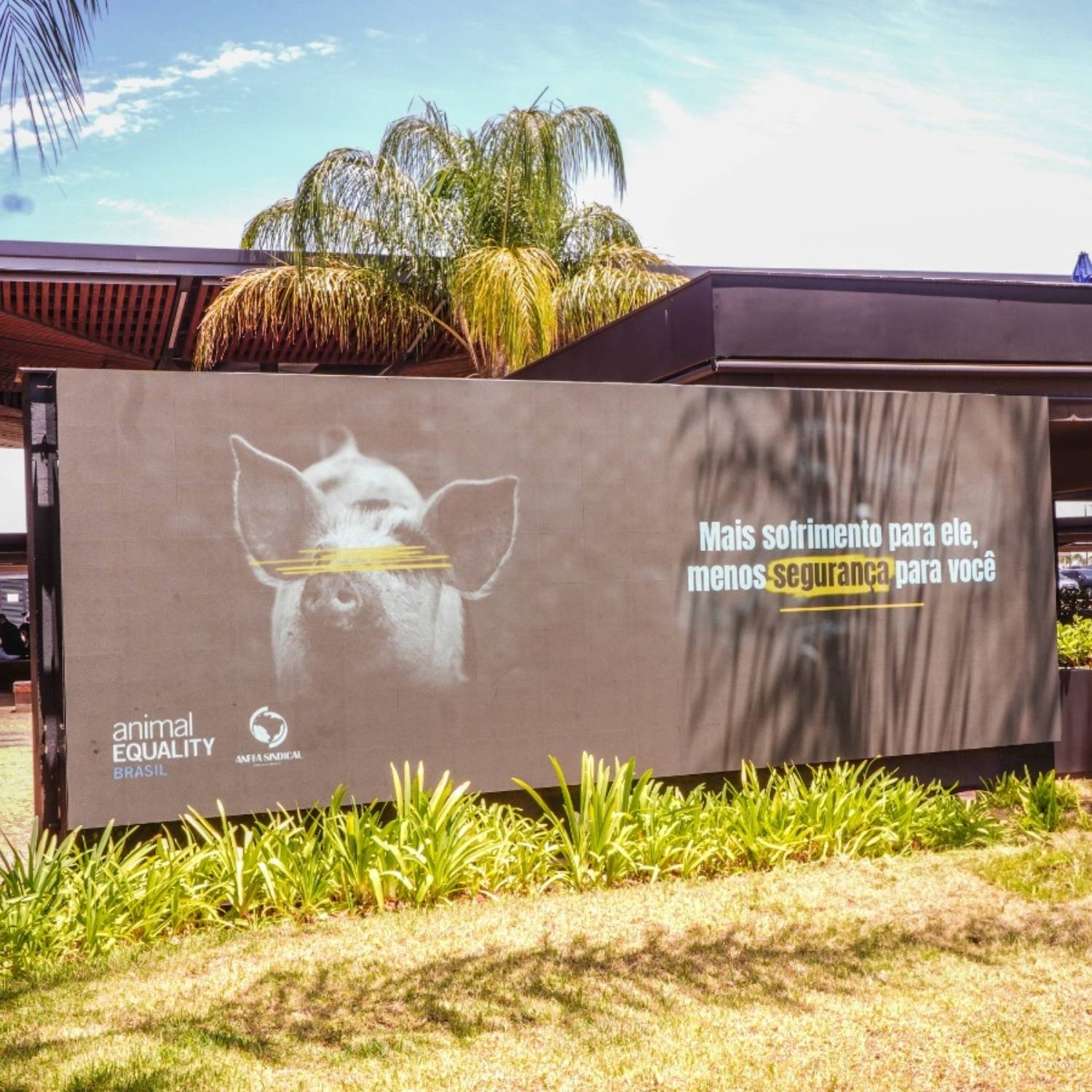 Outdoor no aeroporto de Brasília exigindo o fim da Lei do Autocontrole