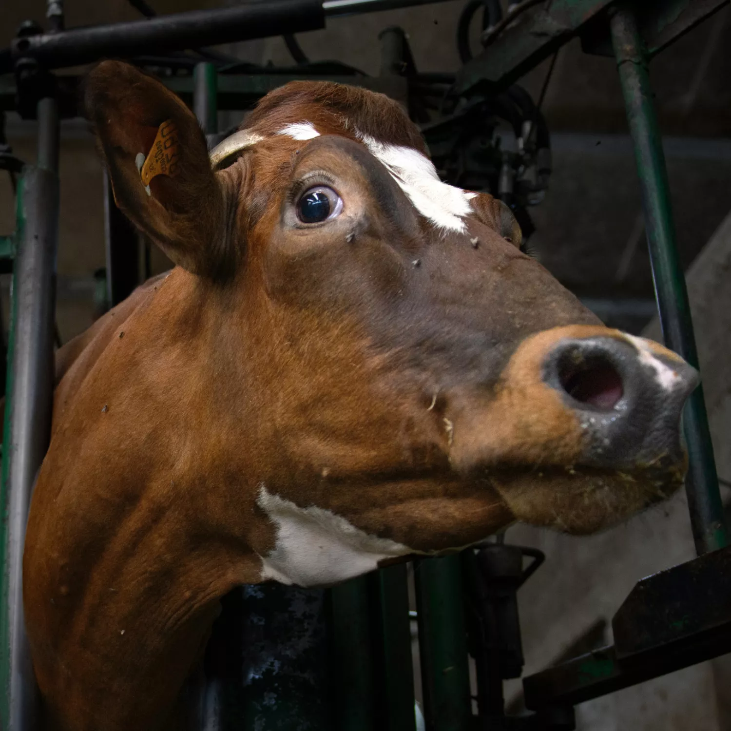 Campanha de Doação Duplicada: o que é e como participar 1 Campanha de Doação Duplicada: o que é e como participar