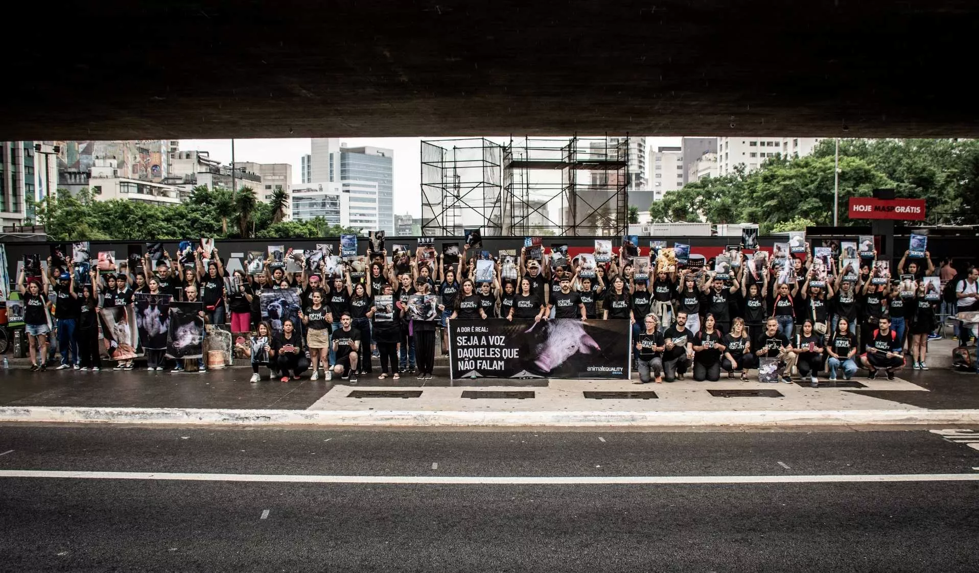 Dia Internacional dos Direitos Animais 2024 realizado na Avenida Paulista
