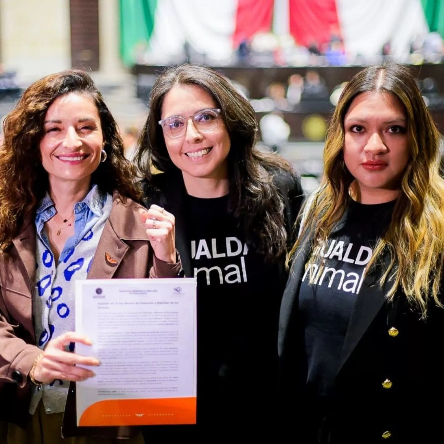 Apresentação da Lei Geral de Proteção Animal no Congresso Mexicano