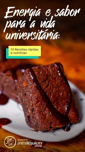 Capa do ebook 'Energia e sabor para a vida universitária'