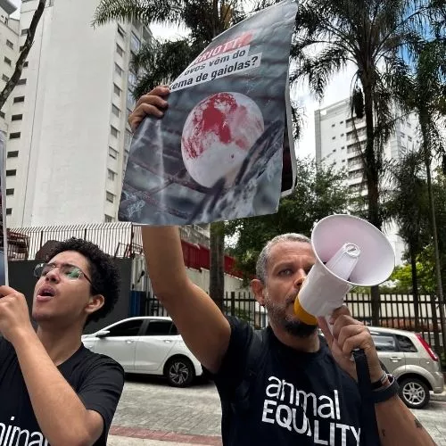 Voluntários em ação de rua