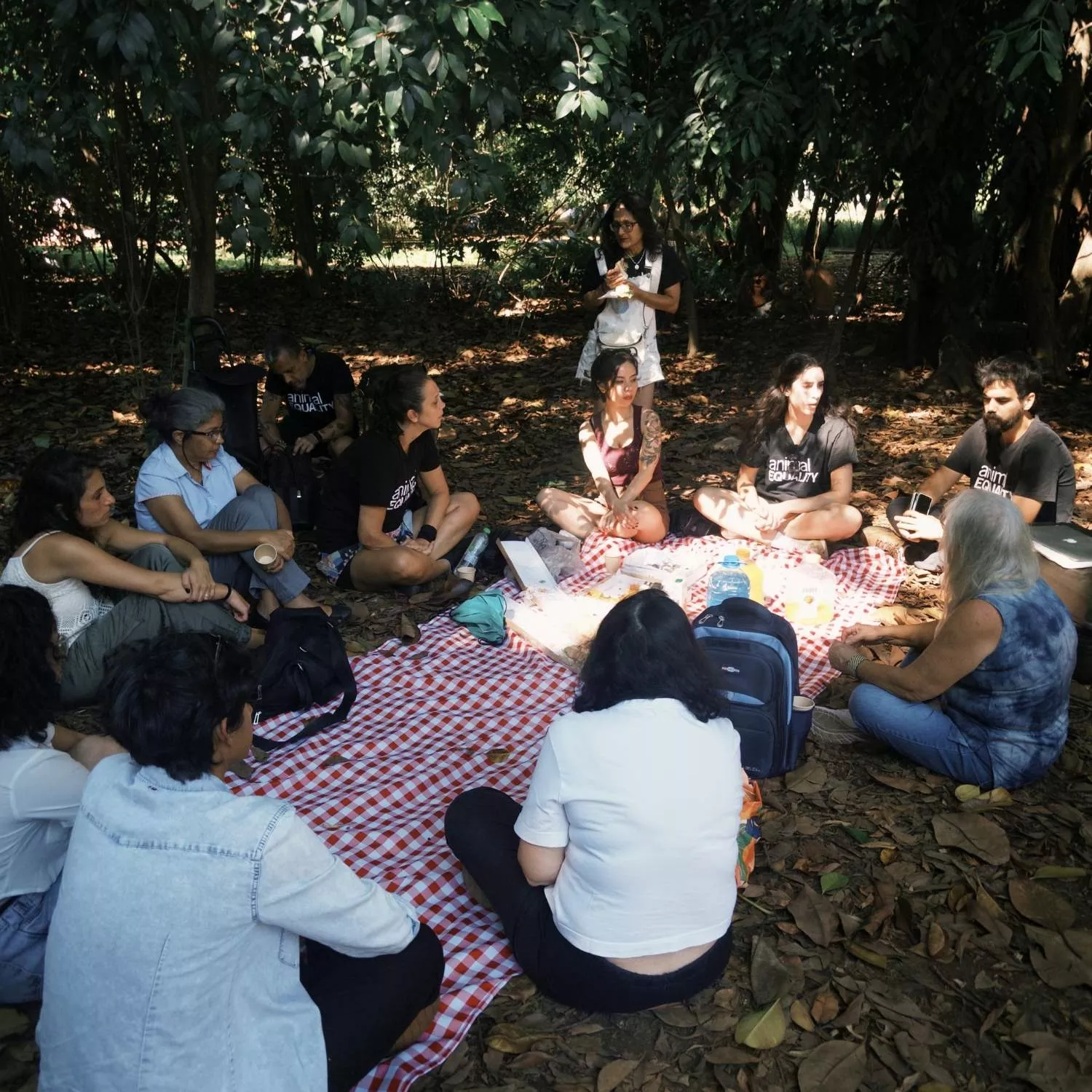 Animal Equality realiza I Encontro de Formação em Ativismo 2026 em São Paulo 1 Animal Equality realiza I Encontro de Formação em Ativismo 2026 em São Paulo