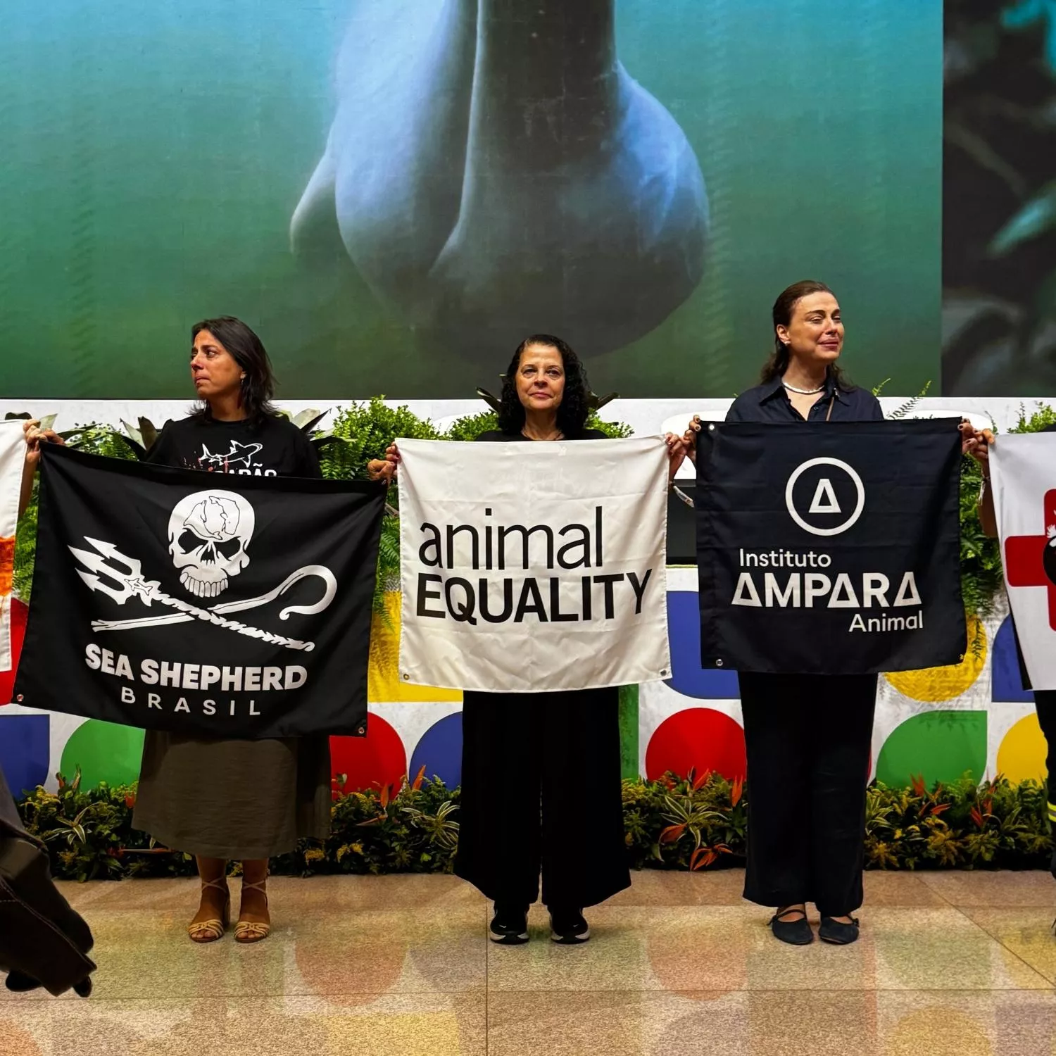 Ministra Marina Silva assina decreto que cria a Conferência Nacional de Proteção e Defesa dos Direitos Animais