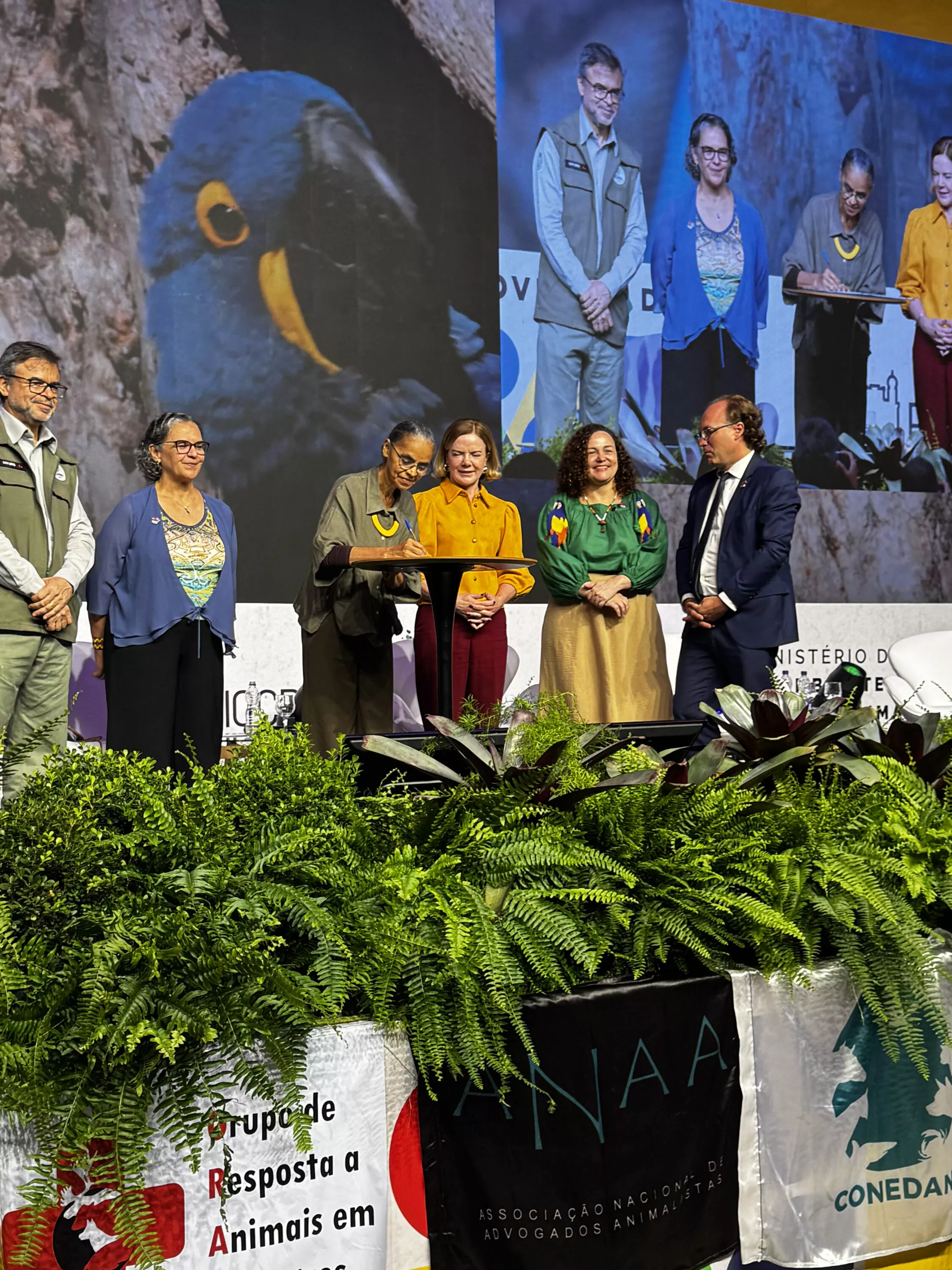Animal Equality este presente no momento da criação da Conferência Nacional de Proteção e Defesa dos Direitos Animais