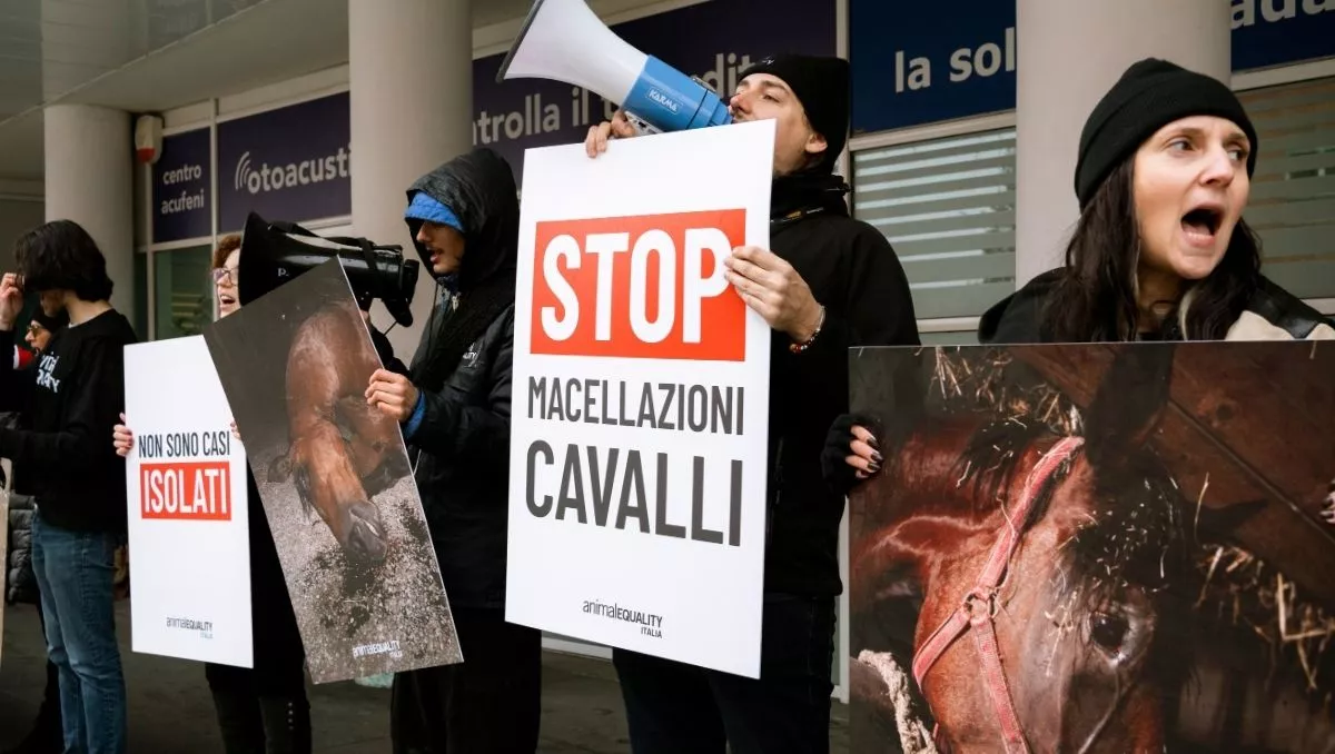 Protesto pelo fim do abate de cavalos na Itália