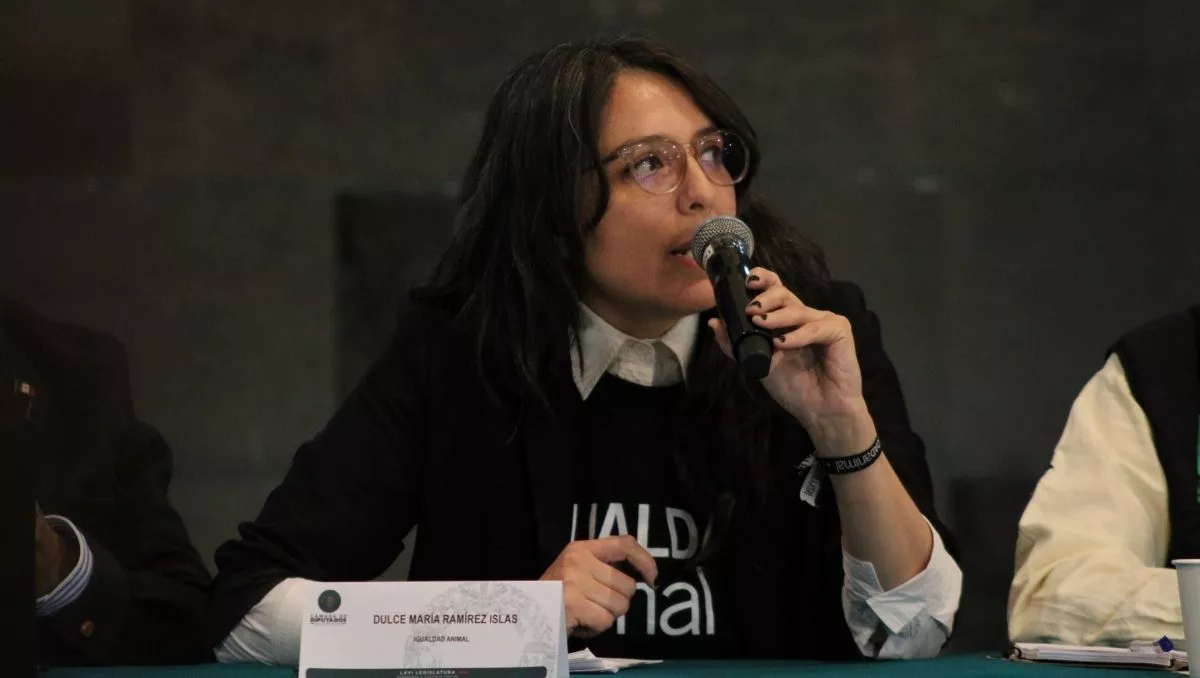 Dulce Ramírez no Congresso