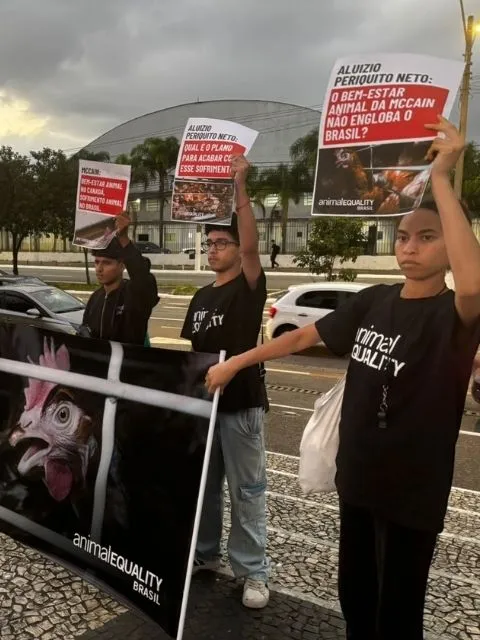 Em quatro dias, quatro protestos contra a McCain por duplo padrão com os animais 5