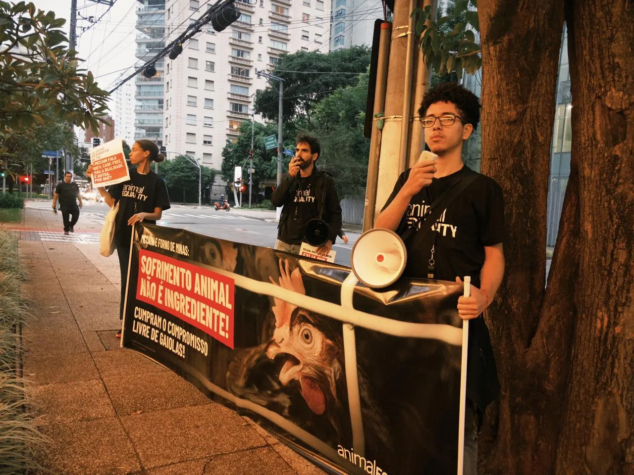 Em quatro dias, quatro protestos contra a McCain por duplo padrão com os animais 10