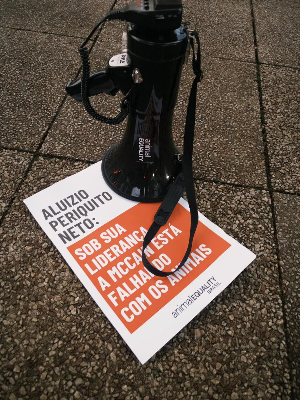Em quatro dias, quatro protestos contra a McCain por duplo padrão com os animais 9