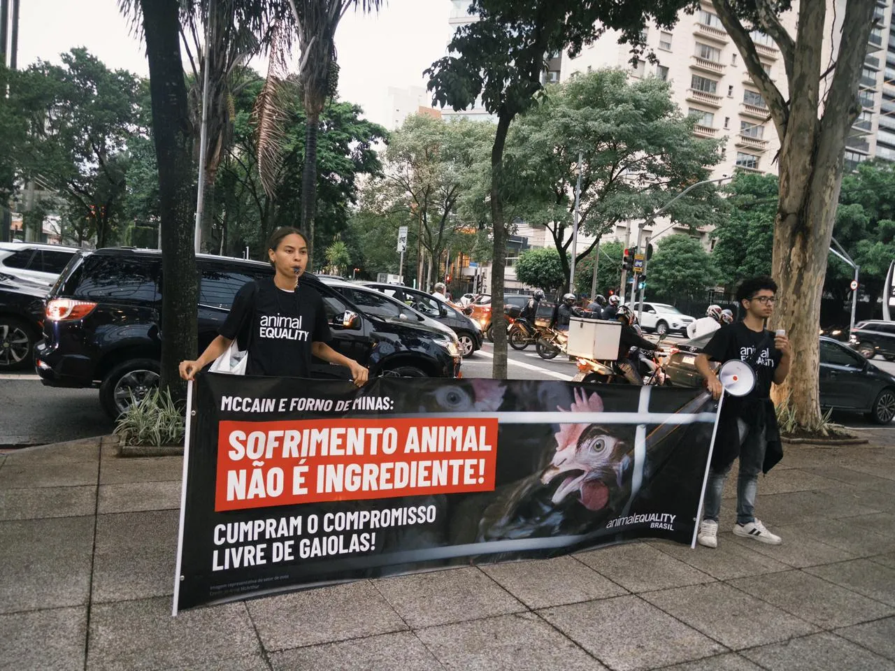 Em quatro dias, quatro protestos contra a McCain por duplo padrão com os animais 11