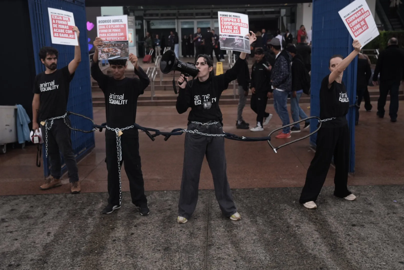 Ação McCain e Forno de Minas