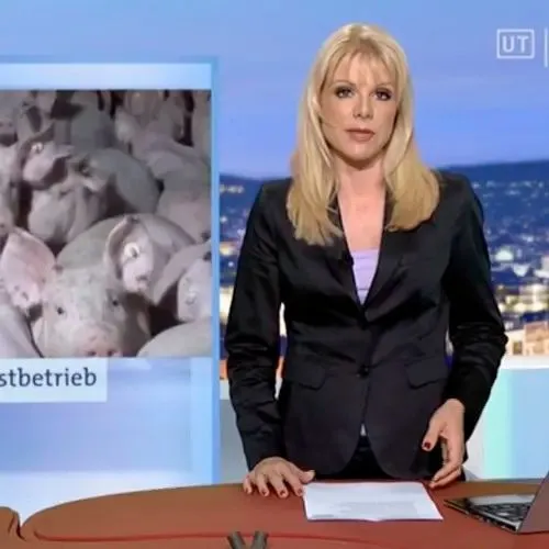 Relatório de Impacto do 1º trimestre 2026 17 Divulgação de investigação da Animal Equality na TV alemã