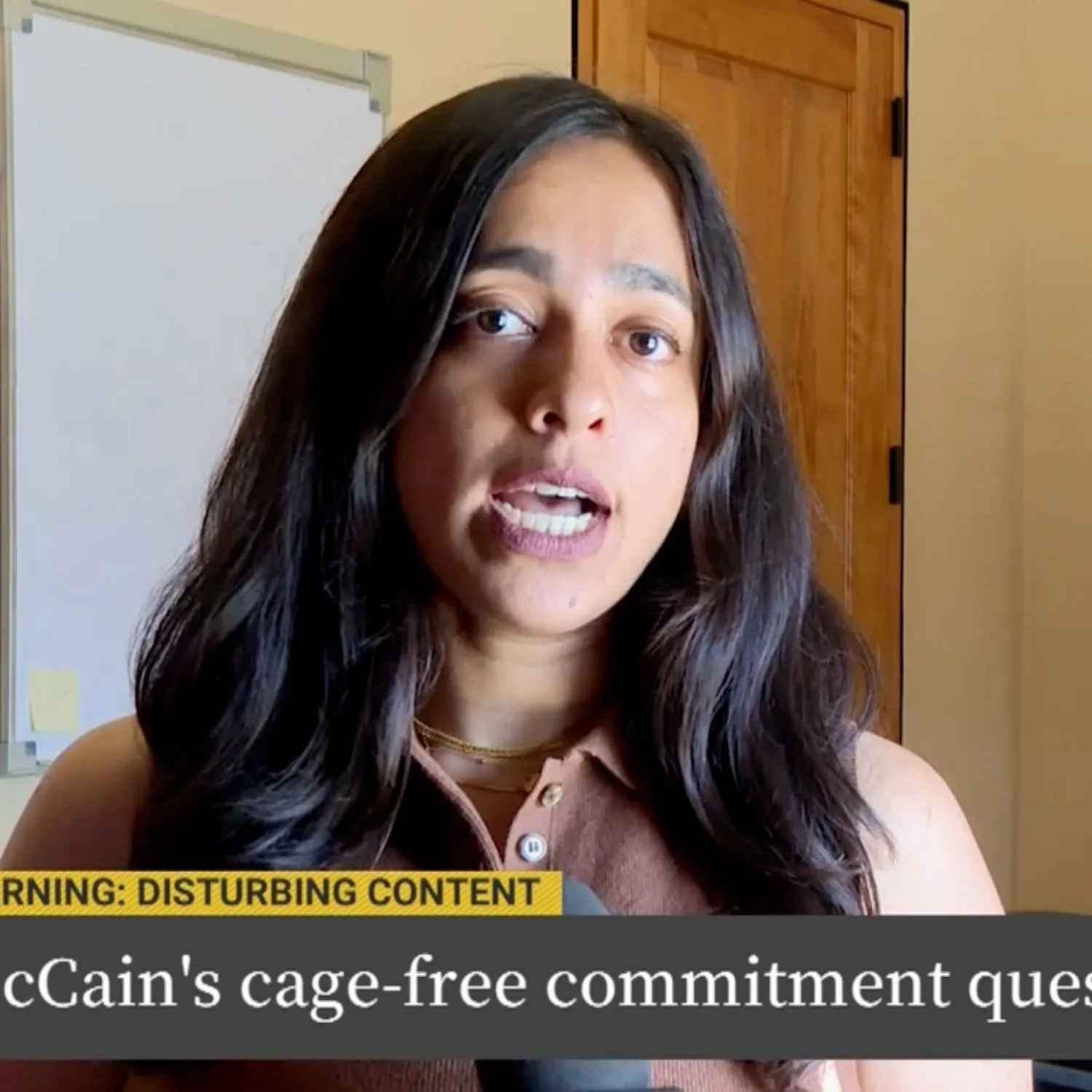 Campanha da Animal Equality expondo a contradição da McCain ganha repercussão internacional
