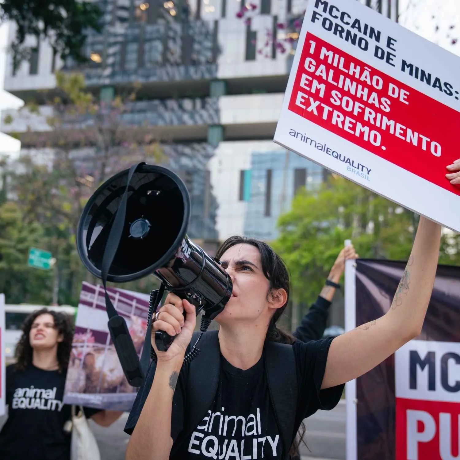 Ativistas realizam protesto na sede da McCain