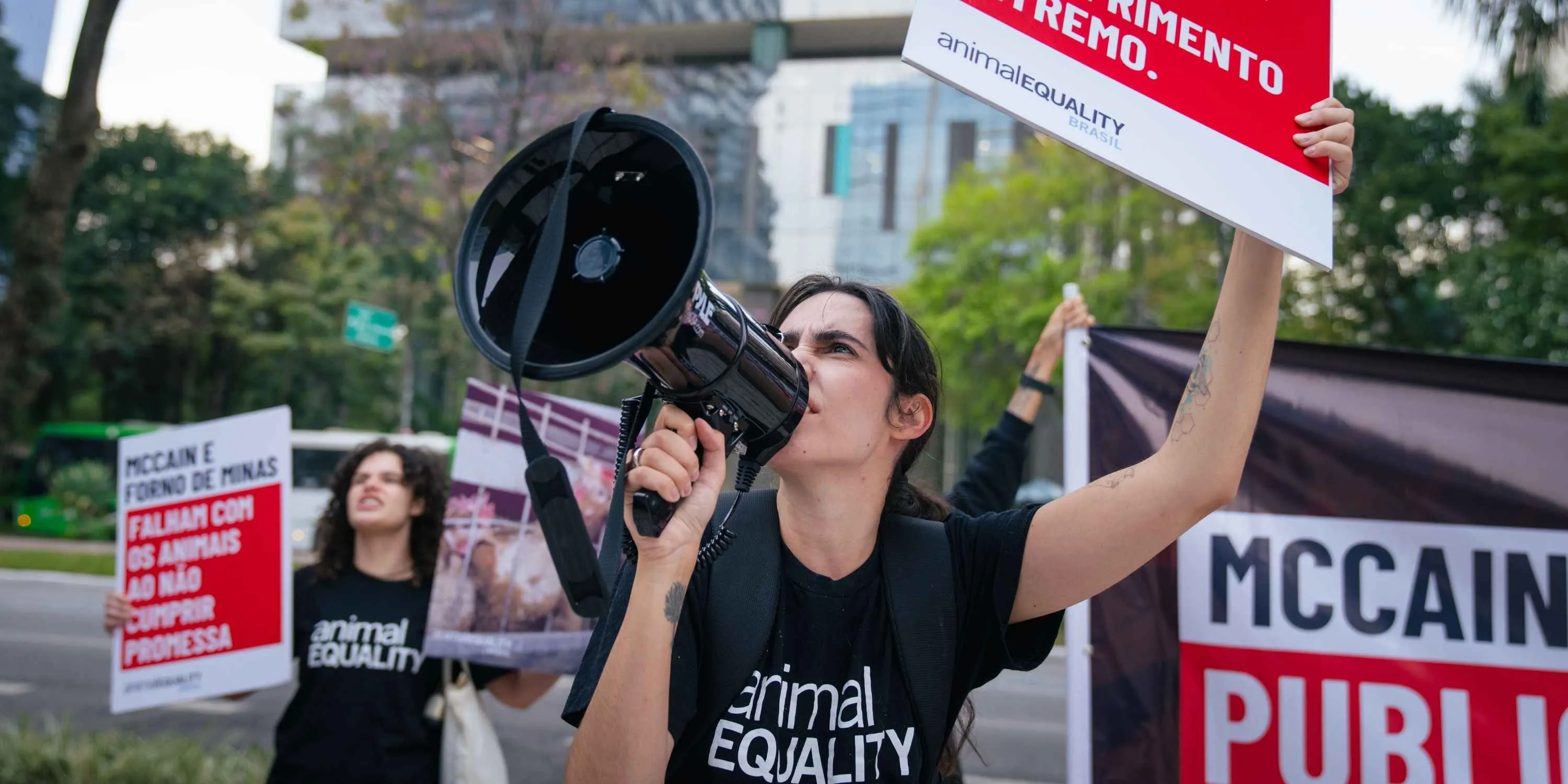 Assistente de Comunicação e Campanhas 1 Protesto realizado na sede da McCain pelo cumprimento de seu compromisso