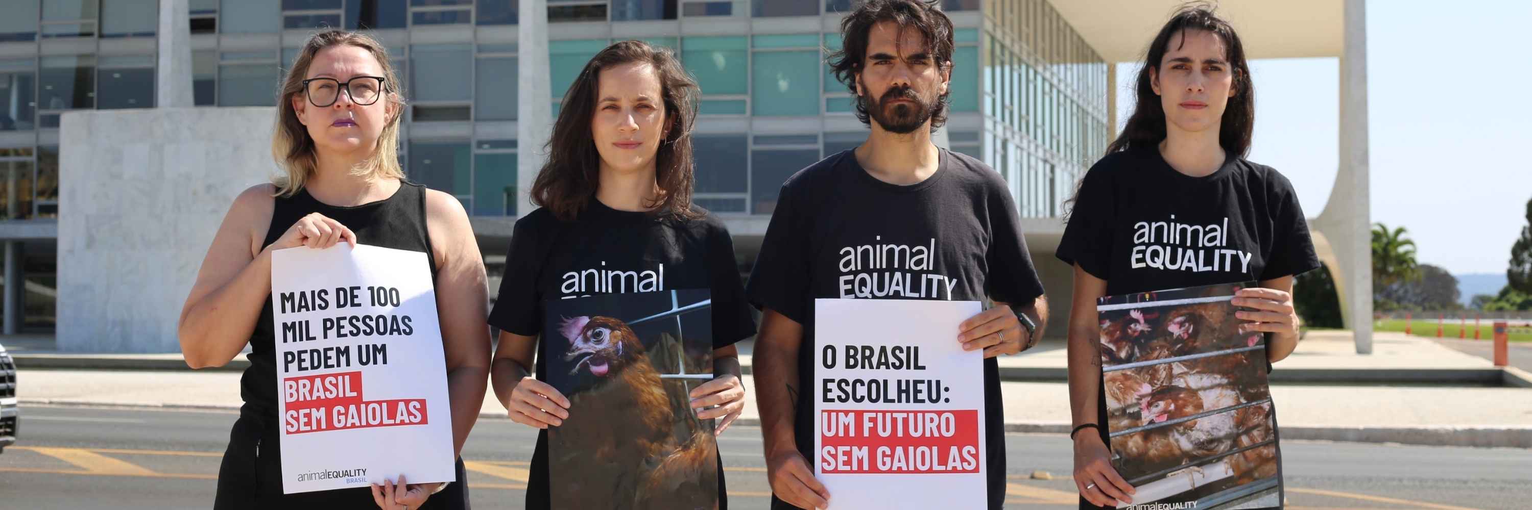 Ação em frente ao Palácio do Planalto pedindo pelo fim das gaiolas