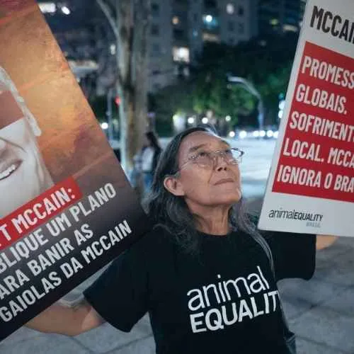Voluntária segurando cartazes em protesto