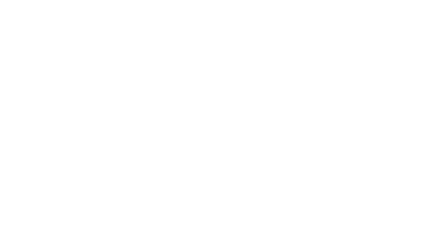 Logo Vox branco transparente